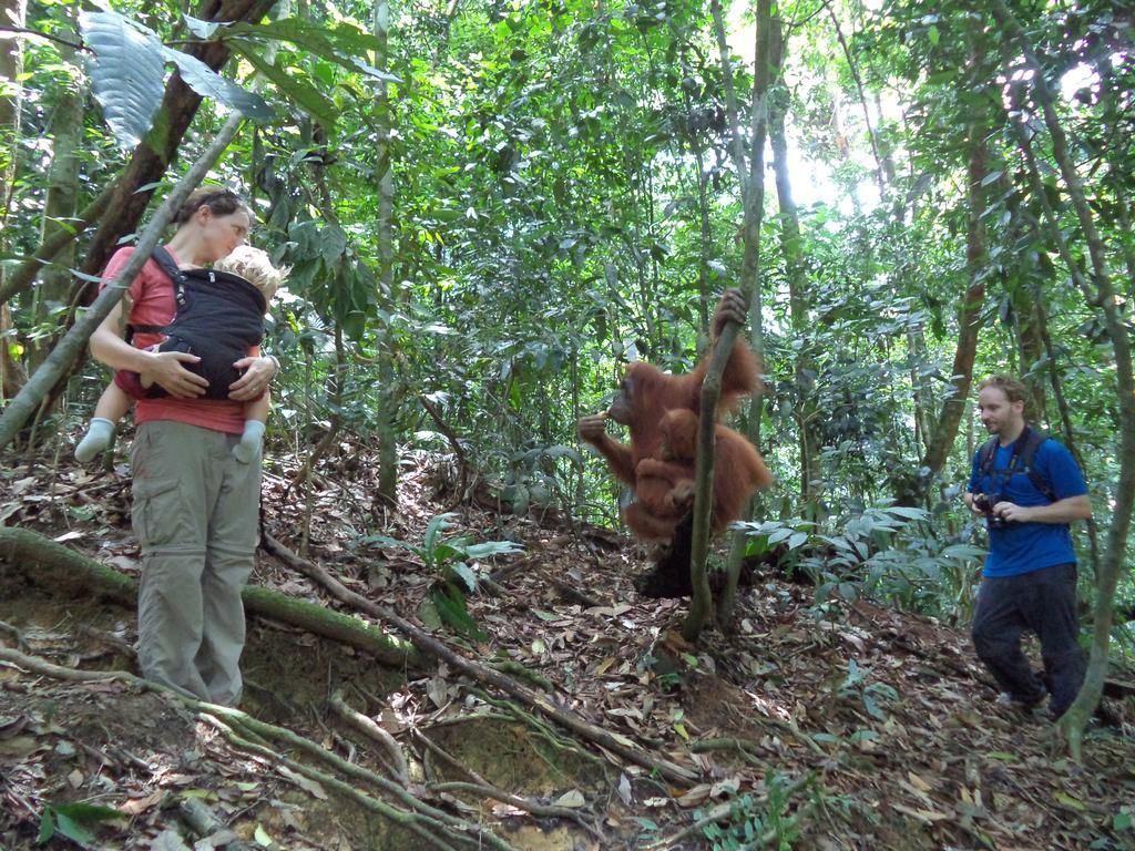 Ida Guest House & Jungle Trekking Bukit Lawang Exterior foto